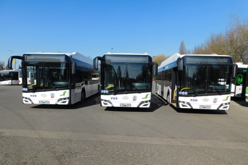 Nowe autobusy elektryczne MZK w Toruniu